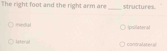 The right foot and the right arm are _structures.
medial ipsilateral
lateral
contralateral