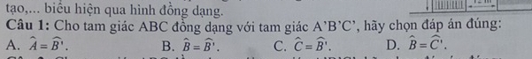 tạo,... biểu hiện qua hình đồng dạng.
Câu 1: Cho tam giác ABC đồng dạng với tam giác A'B'C' , hãy chọn đáp án đúng:
A. widehat A=widehat B'. B. hat B=hat B'. C. hat C=hat B'. D. widehat B=widehat C'.