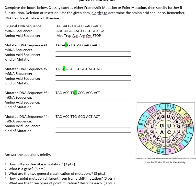 Complete the boxes below. Classify each as either Frameshift Mutation or Point Mutation, then specify further if 
Substitution, Deletion or Insertion. Use the given data in order to determine the amino acid sequence. Remember, 
RNA has Uracil instead of Thymine. 
Original DNA Sequence: TAC-ACC-TTG-GCG-ACG-ACT 
mRNA Sequence: AUG-UGG-AAC-CGC-UGC-UGA 
Amino Acid Sequence: Met-Tryp-Aşn-Arg-Cyş-STOP 
Mutated DNA Sequence #1: TAC-ATC-TTG-GCG-ACG-ACT 
mRNA Sequence: 
_ 
Amino Acid Sequence:_ 
_ 
Kind of Mutation: 
Mutated DNA Sequence #2: TAC-GAC-CTT-GGC-GAC-GAC-T 
mRNA Sequence: 
_ 
Amino Acid Sequence:_ 
_ 
Kind of Mutation: 
Mutated DNA Sequence #3: TAC-ACC-TTA-GCG-ACG-ACT 
mRNA Sequence: 
_ 
Amino Acid Sequence: 
_ 
Kind of Mutation:_ 
Mutated DNA Sequence #4: TAC-ACC-TTG-GCG-ACT-ACT 
mRNA Sequence: _ 
Amino Acid Sequence: _ 
Kind of Mutation: _ 
Answer the questions briefly. 
Image source: https://www.biologycorner.com/worksheets/codon-bingo.htm 
1. How will you describe a mutation? (3 pts.) 
Use this Codon Chart for the Activity. 
2. What is a gene? (3 pts.) 
3. What are the two general classification of mutations? (3 pts.) 
4. How is point mutation different from frame-shift mutation? (3 pts.) 
5. What are the three types of point mutation? Describe each. (3 pts.)