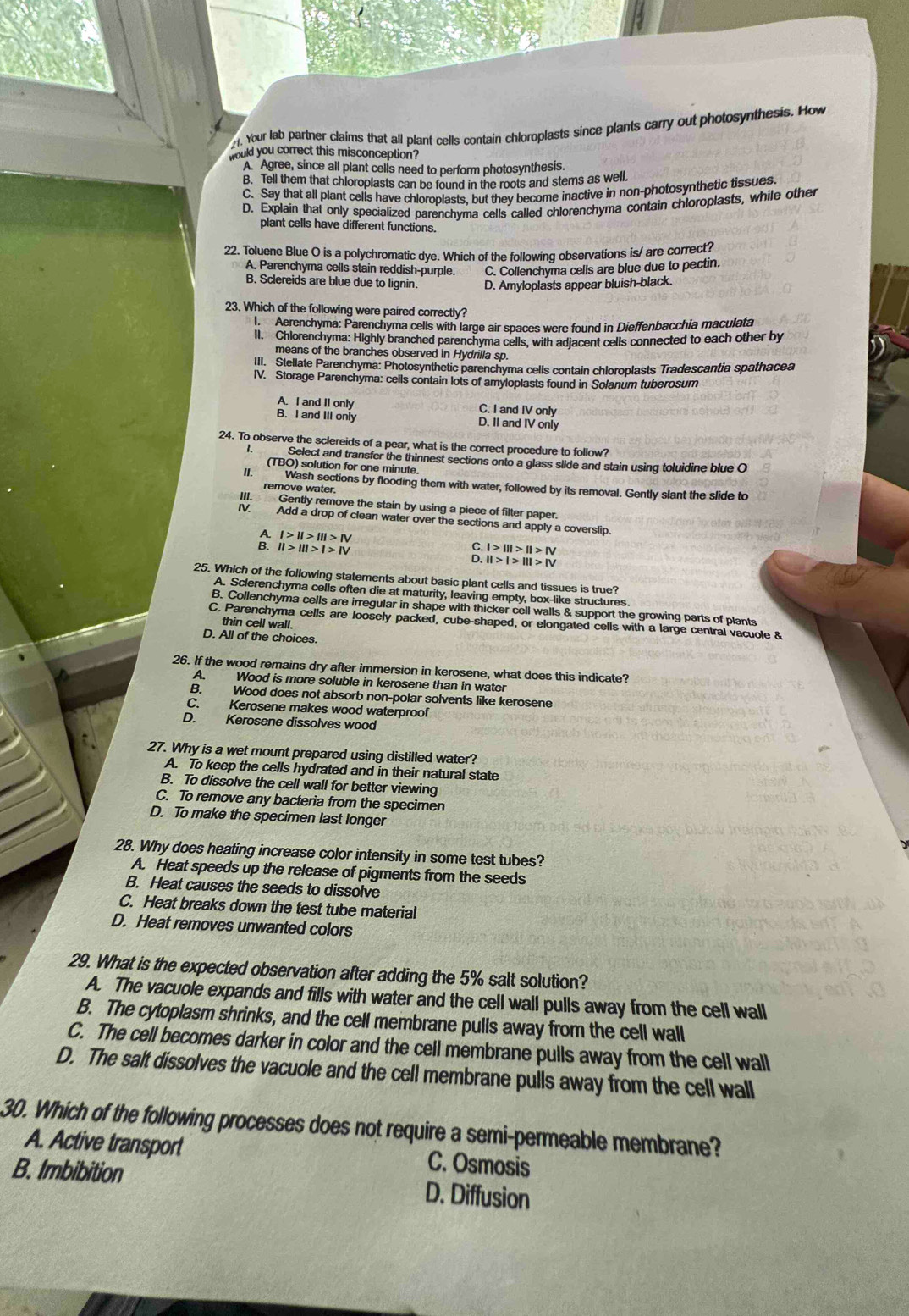 Your lab partner claims that all plant cells contain chloroplasts since plants carry out photosynthesis. How
would you correct this misconception?
A. Agree, since all plant cells need to perform photosynthesis.
B. Tell them that chloroplasts can be found in the roots and stems as well.
C. Say that all plant cells have chloroplasts, but they become inactive in non-photosynthetic tissues.
D. Explain that only specialized parenchyma cells called chlorenchyma contain chloroplasts, while other
plant cells have different functions.
22. Toluene Blue O is a polychromatic dye. Which of the following observations is/ are correct?
A. Parenchyma cells stain reddish-purple. C. Collenchyma cells are blue due to pectin.
B. Sclereids are blue due to lignin. D. Amyloplasts appear bluish-black.
23. Which of the following were paired correctly?
I. Aerenchyma: Parenchyma cells with large air spaces were found in Dieffenbacchia maculata
II. Chlorenchyma: Highly branched parenchyma cells, with adjacent cells connected to each other by
means of the branches observed in Hydrilla sp
III. Stellate Parenchyma: Photosynthetic parenchyma cells contain chloroplasts Tradescantia spathacea
IV. Storage Parenchyma: cells contain lots of amyloplasts found in Solanum tuberosum
A. I and II only C. I and IV only
B. I and III only D. II and IV only
24. To observe the sclereids of a pear, what is the correct procedure to follow?
Select and transfer the thinnest sections onto a glass slide and stain using toluidine blue O
(TBO) solution for one minute.
I. Wash sections by flooding them with water, followed by its removal. Gently slant the slide to
remove water.
III. Gently remove the stain by using a piece of filter paper.
IV. Add a drop of clean water over the sections and apply a coverslip.
I>II>III>IV
II>III>I>IV
l>|||>II>IV
II>I>III>IV
25. Which of the following statements about basic plant cells and tissues is true?
A. Sclerenchyma cells often die at maturity, leaving empty, box-like structures.
B. Collenchyma cells are irregular in shape with thicker cell walls & support the growing parts of plants
C. Parenchyma cells are loosely packed, cube-shaped, or elongated cells with a large central vacuole &
thin cell wall.
D. All of the choices.
26. If the wood remains dry after immersion in kerosene, what does this indicate?
A. Wood is more soluble in kerosene than in water
B. Wood does not absorb non-polar solvents like kerosene
C. Kerosene makes wood waterproof
D. Kerosene dissolves wood
27. Why is a wet mount prepared using distilled water?
A. To keep the cells hydrated and in their natural state
B. To dissolve the cell wall for better viewing
C. To remove any bacteria from the specimen
D. To make the specimen last longer
28. Why does heating increase color intensity in some test tubes?
A. Heat speeds up the release of pigments from the seeds
B. Heat causes the seeds to dissolve
C. Heat breaks down the test tube material
D. Heat removes unwanted colors
29. What is the expected observation after adding the 5% salt solution?
A. The vacuole expands and fills with water and the cell wall pulls away from the cell wall
B. The cytoplasm shrinks, and the cell membrane pulls away from the cell wall
C. The cell becomes darker in color and the cell membrane pulls away from the cell wall
D. The salt dissolves the vacuole and the cell membrane pulls away from the cell wall
30. Which of the following processes does not require a semi-permeable membrane?
A. Active transport C. Osmosis
B. Imbibition D. Diffusion