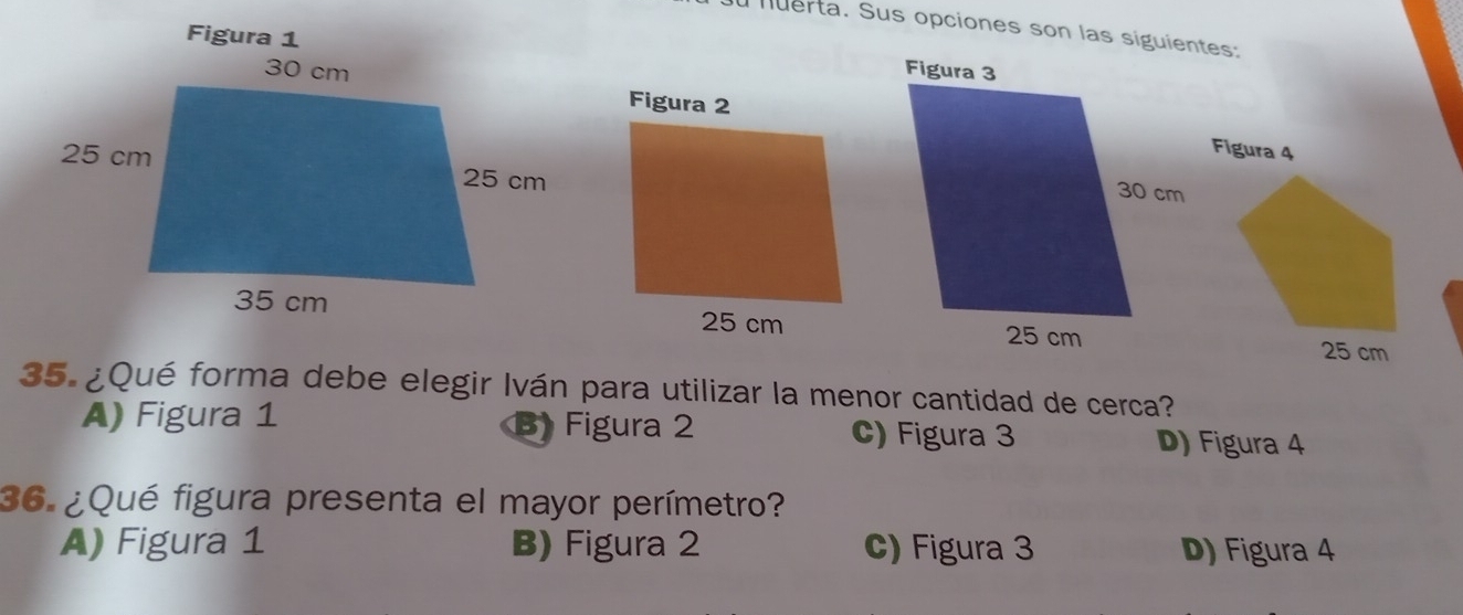 nuerta. Sus opciones son las siguientes:
35. ¿Qué forma debe elegir Iván para utilizar la menor cantidad de cerca?
A) Figura 1 B) Figura 2 C) Figura 3 D) Figura 4
36. ¿Qué figura presenta el mayor perímetro?
A) Figura 1 B) Figura 2 C) Figura 3 D) Figura 4