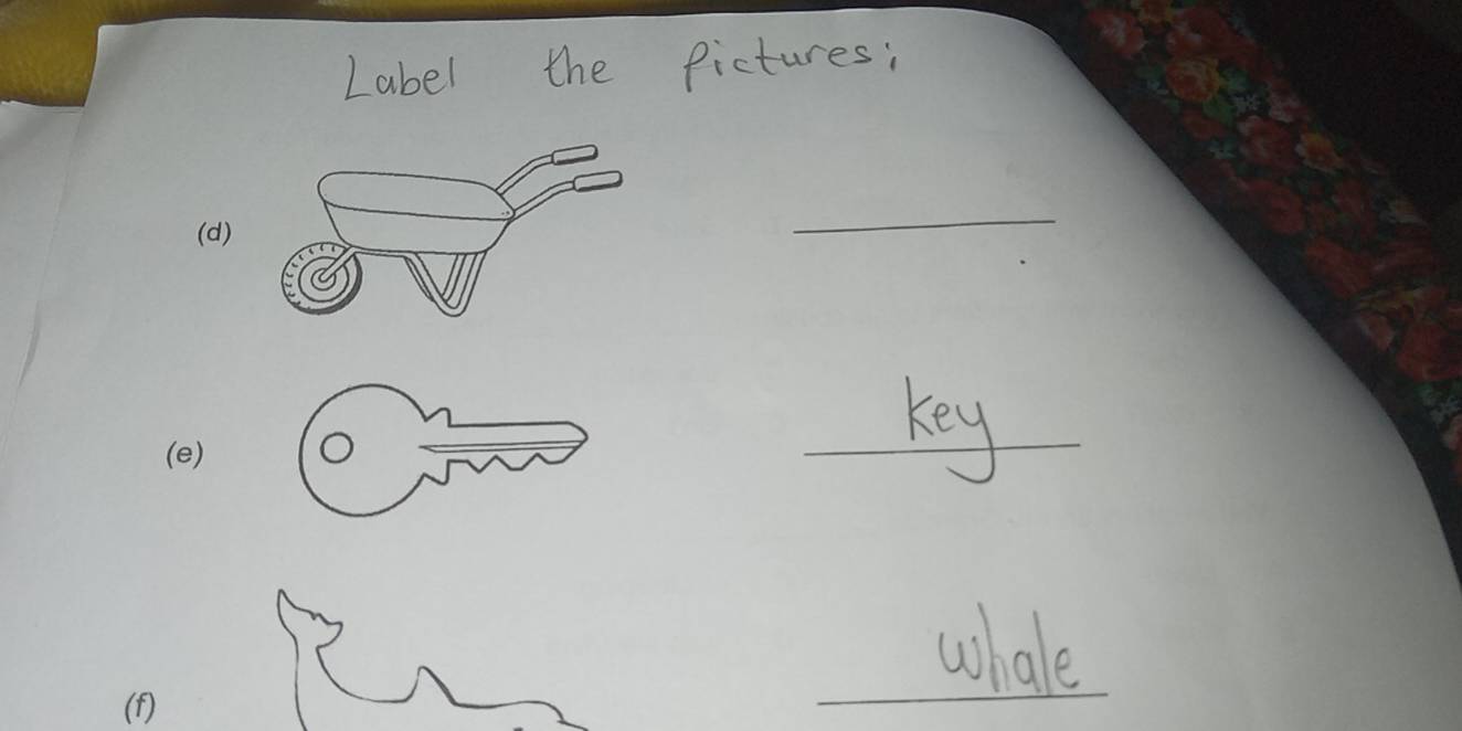 Label the pictures: 
_ 
_key 
_whale