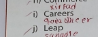 Careers 
j) Leap