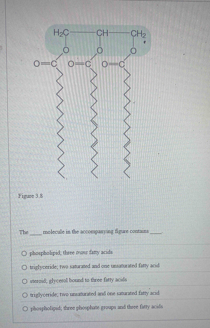 Figure 3.8
The_ molecule in the accompanying figure contains _.
phospholipid; three trans fatty acids
triglyceride; two saturated and one unsaturated fatty acid
steroid; glycerol bound to three fatty acids
triglyceride; two unsaturated and one saturated fatty acid
phospholipid; three phosphate groups and three fatty acids