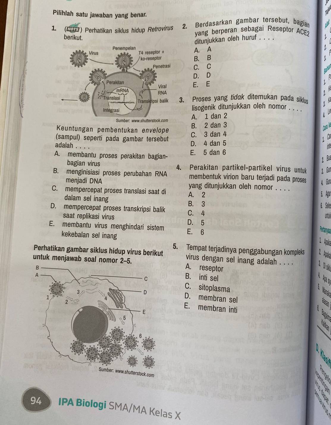 Pilihlah satu jawaban yang benar.
1. (60H) Perhatikan siklus hidup Retrovirus 2. Berdasarkan gambar tersebut, bagian
berikut.
yang berperan sebagai Reseptor ACE2
ditunjukkan oleh huruf . . . .
A. A
B. B
C. C
Sahai
D. D
E. E
 
g h
3. Proses yang tidak ditemukan pada siklus 1 M
lisogenik ditunjukkan oleh nomor . . . .  L
A. 1 dan 2
B. 2 dan 3
Keuntungan pembentukan envelope
Cara ko
C. 3 dan 4
(sampul) seperti pada gambar tersebut D. 4 dan 5
1 Ca
adalah . . . .
A. membantu proses perakitan bagian- E. 5 dan 6
2 Bua
bagian virus 4. Perakitan partikel-partikel virus untuk 1 Gin
B. menginisiasi proses perubahan RNA membentuk virion baru terjadi pada proses 4 Gun
menjadi DNA yang ditunjukkan oleh nomor . . . .
C. mempercepat proses translasi saat di A. 2
5. Agar
dalam sel inang
B. 3 B. Sele;
D. mempercepat proses transkripsi balik C. 4
untul
saat replikasi virus D. 5
E. membantu virus menghindari sistem E. 6
Petanya
kekebalan sel inang
1 Apalra
5. Tempat terjadinya penggabungan kompleks 1 Apal
Perhatikan gambar siklus hidup virus berikut virus dengan sel inang adalah . . . .  1 D sik
untuk menjawab soal nomor 2-5.A. reseptor
B. inti sel
Aça sv
C. sitoplasma
Manak
D. membran sel
B
E. membran inti
  
1 
2 a?
94 IPA Biologi SMA/MA Kelas X