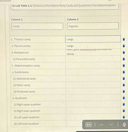 Homework 
In-Lab Table 1.1: Divisions of the Anterior Body Cavity and Quadrants of the Abdominopelvic