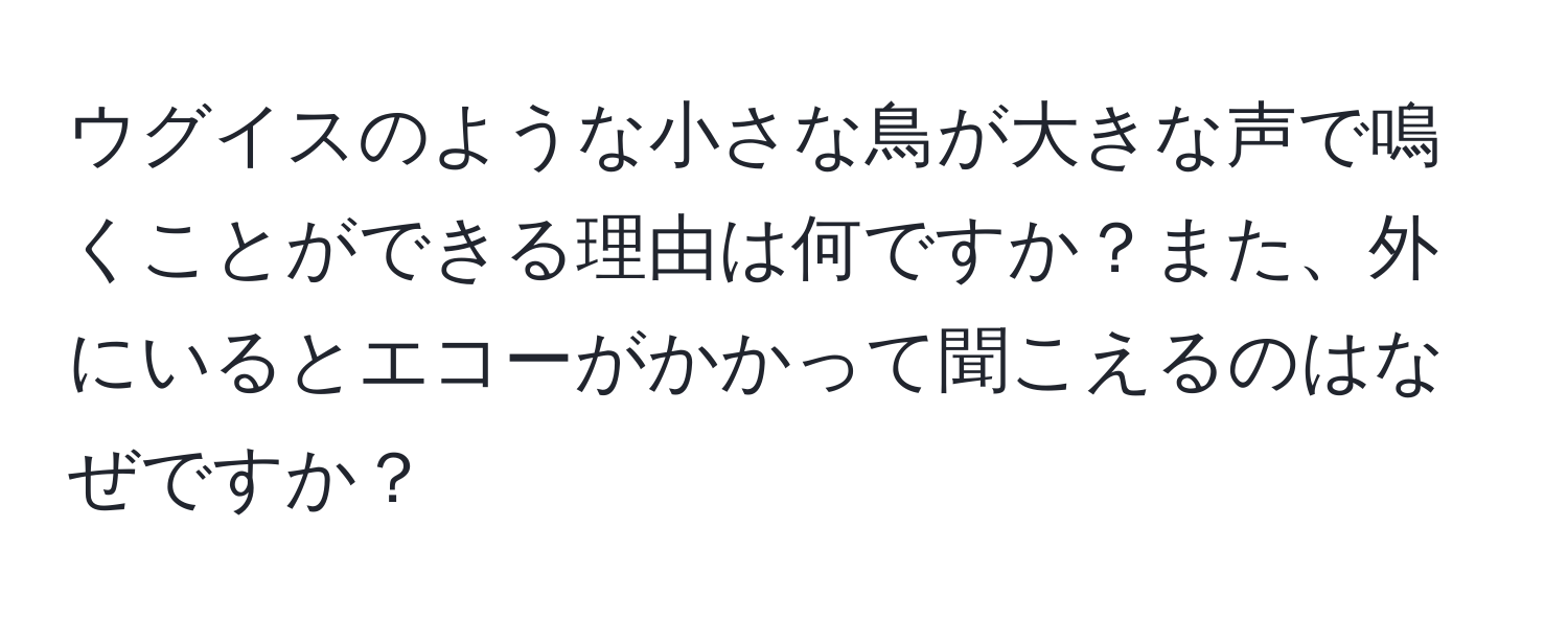 ウグイスのような小さな鳥が大きな声で鳴くことができる理由は何ですか？また、外にいるとエコーがかかって聞こえるのはなぜですか？