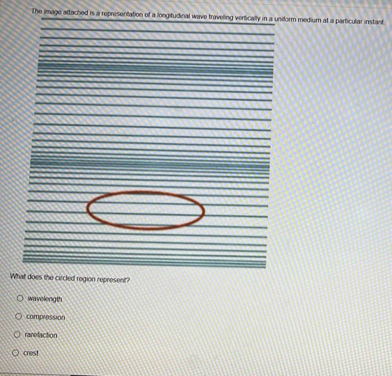 The image attached is a representation of a longitudinal wave traveling vertically in a uniform medium at a particular instant
_
_
_
_
_
_
_
_
_
_
_
__
_
_
_
_
_
_
_
_
What does the circled region represent?
wavelength
compression
rarefaction
crest