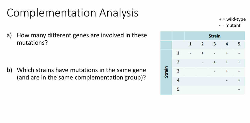 Complementation Analysis 
+ = wild-type 
- = mutant 
a) How many different genes are involved in these 
mutations? 
b) Which strains have mutations in the same gene 
(and are in the same complementation group)?