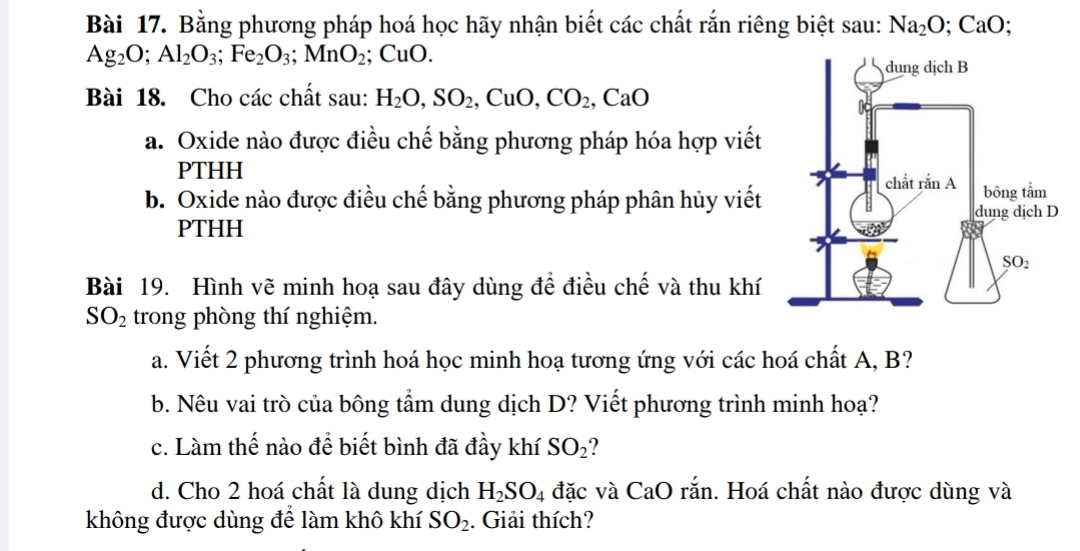 Bằng phương pháp hoá học hãy nhận biết các chất rắn riêng biệt sau: Na_2O;CaO;
Ag_2O;Al_2O_3;Fe_2O_3;MnO_2;CuO.
Bài 18. Cho các chất sau: H_2O,SO_2 ,CuC ). CO_2,CaO
a. Oxide nào được điều chế bằng phương pháp hóa hợp viết
PTHH 
b. Oxide nào được điều chế bằng phương pháp phân hủy viết
PTHH 
Bài 19. Hình vẽ minh hoạ sau đây dùng để điều chế và thu khí
SO_2 trong phòng thí nghiệm.
a. Viết 2 phương trình hoá học minh hoạ tương ứng với các hoá chất A, B?
b. Nêu vai trò của bông tẩm dung dịch D? Viết phương trình minh hoạ?
c. Làm thế nào để biết bình đã đầy khí SO_2
d. Cho 2 hoá chất là dung dịch H_2SO_4 đặc và CaO rắn. Hoá chất nào được dùng và
không được dùng để làm khô khí SO_2. Giải thích?