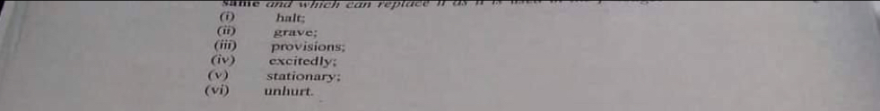 halt; 
(ii) grave; 
(iii) provisions; 
(iv) excitedly; 
(v) stationary: 
(vi) unhurt.