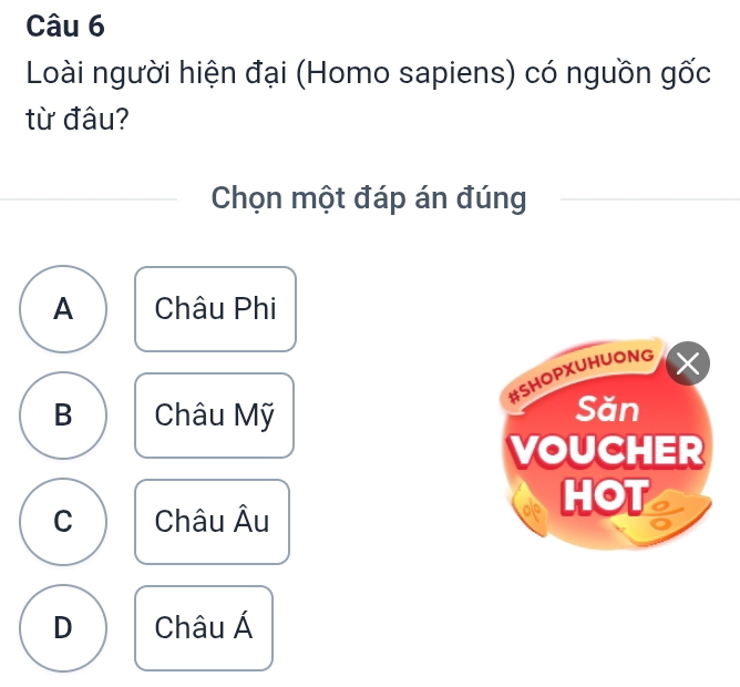 Loài người hiện đại (Homo sapiens) có nguồn gốc
từ đâu?
Chọn một đáp án đúng
A Châu Phi
#5HOPXUHUONG
B Châu Mỹ Săn
VOUCHER
C Châu Âu
HOT n
D Châu Á