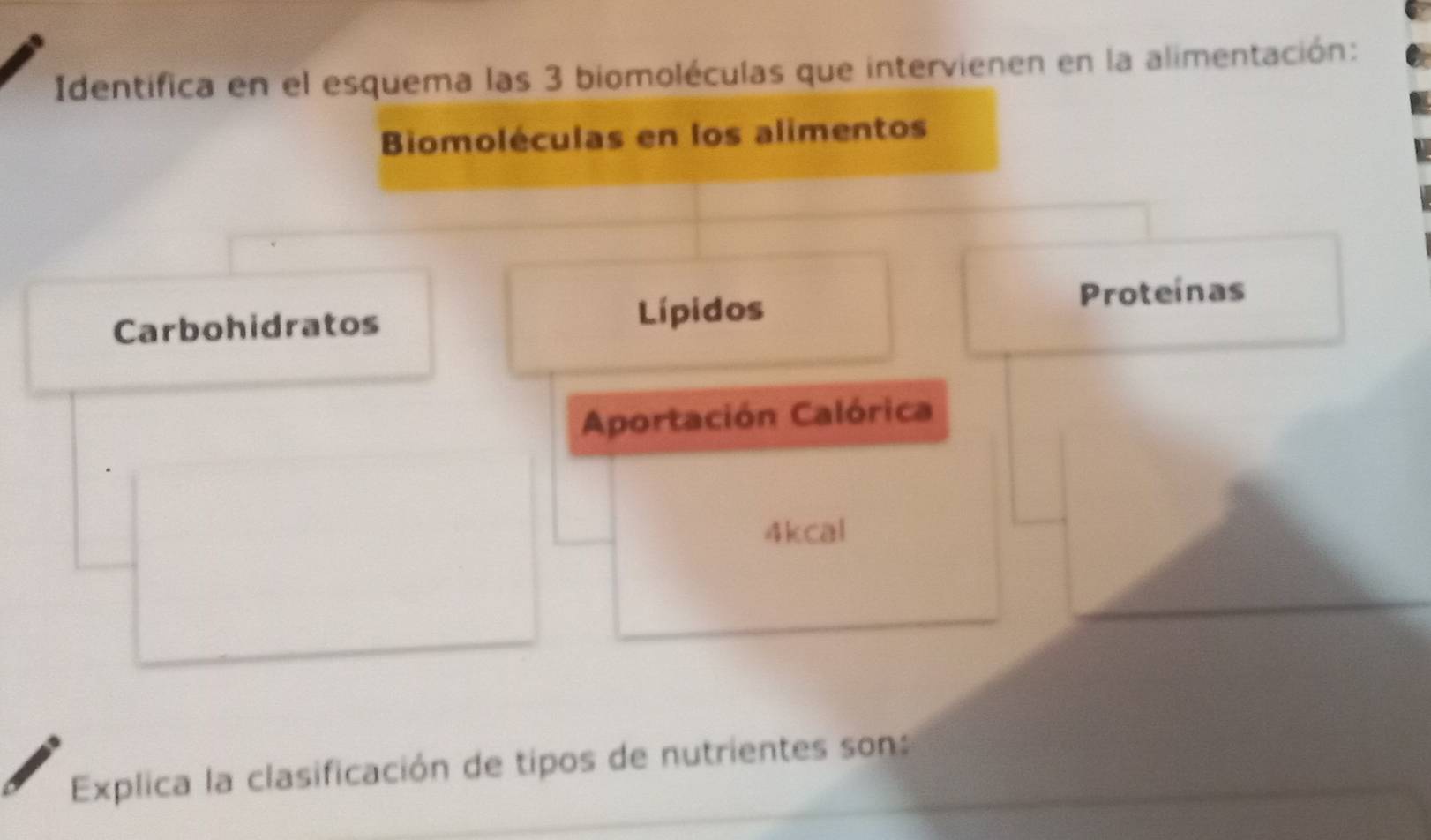 Identifica en el esquema las 3 biomoléculas que intervienen en la alimentación: 
Biomoléculas en los alimentos 
Carbohidratos Lípidos Proteinas 
Aportación Calórica 
4kcal 
Explica la clasificación de tipos de nutrientes son: