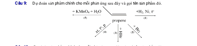 Dự đoán sản phẩm chính cho mỗi phản ứng sau đây và gọi tên sản phẩm đó.
+KMnO_4+H_2O
+H_2,Ni,t^0
(5) 
(1) 
propene 
P 
varphi 
A (4) (2) 
(3)