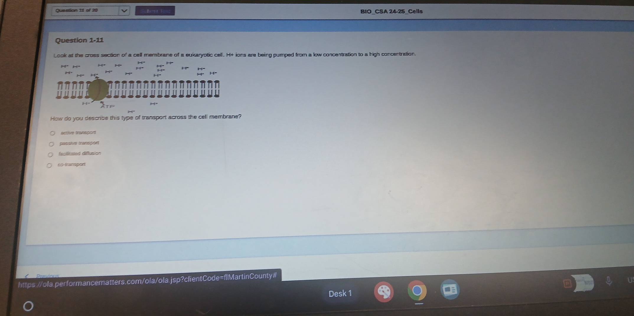BIO CSA 24-25 Cells
Question 1-11
Look at the cross section of a cell membrane of a eukaryotic cell. H+ ions are being pumped from a low concentration to a high concentration.

H
How do you describe this type of transport across the cell membrane?
active transport
passive transpor
facilitated diffusion
co-transport
https.//ola.performancematters.com/ola/ola.jsp?clientCode=flMartinCounty#
Desk 1