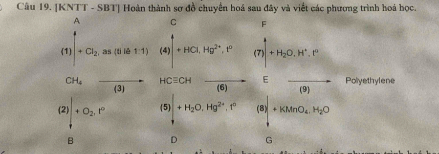 [KNTT - SBT] Hoàn thành sơ đồ chuyền hoá sau đây và viết các phương trình hoá học. 
C 
F 
as (ti lê 
Polyethylene
beginpmatrix 2endpmatrix +O_2,P_2.P □^1+x_2=□° (5)downarrow +H_2O, Hg^(2+), I°&(8)+KMnO_4, H_2 □