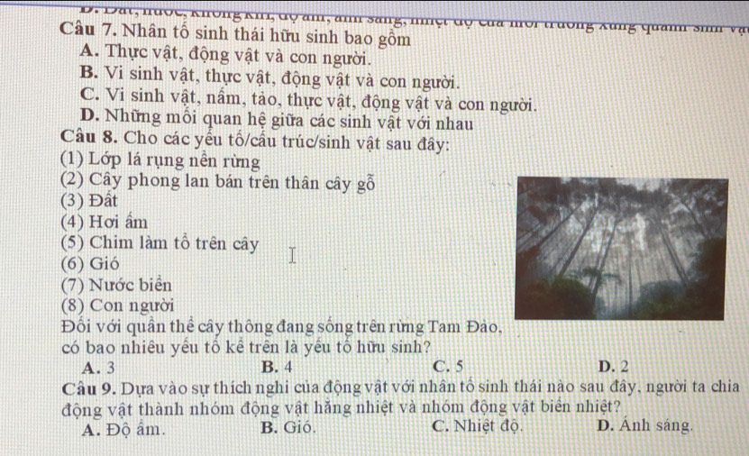 Dat, nược, Không Khi, độ âm, anh sang, niột độ của mội trưởng Xung quản sin v
Câu 7. Nhân tổ sinh thái hữu sinh bao gồm
A. Thực vật, động vật và con người.
B. Vi sinh vật, thực vật, động vật và con người.
C. Vi sinh vật, nấm, tảo, thực vật, động vật và con người.
D. Những mỗi quan hệ giữa các sinh vật với nhau
Câu 8. Cho các yếu tố/cầu trúc/sinh vật sau đây:
(1) Lớp lá rụng nền rừng
(2) Cây phong lan bán trên thân cây gỗ
(3) Đất
(4) Hơi ẩm
(5) Chim làm tổ trên cây
(6) Gió
(7) Nước biển
(8) Con người
Đối với quần thể cây thông đang sống trên rừng Tam Đào,
có bao nhiêu yêu tổ kể trên là yêu tố hữu sinh?
A. 3 B. 4 C. 5 D. 2
Câu 9. Dựa vào sự thích nghi của động vật với nhân tổ sinh thái nào sau đây, người ta chia
động vật thành nhóm động vật hăng nhiệt và nhóm động vật biển nhiệt?
A. Độ âm. B. Gió. C. Nhiệt độ. D. Ánh sáng.