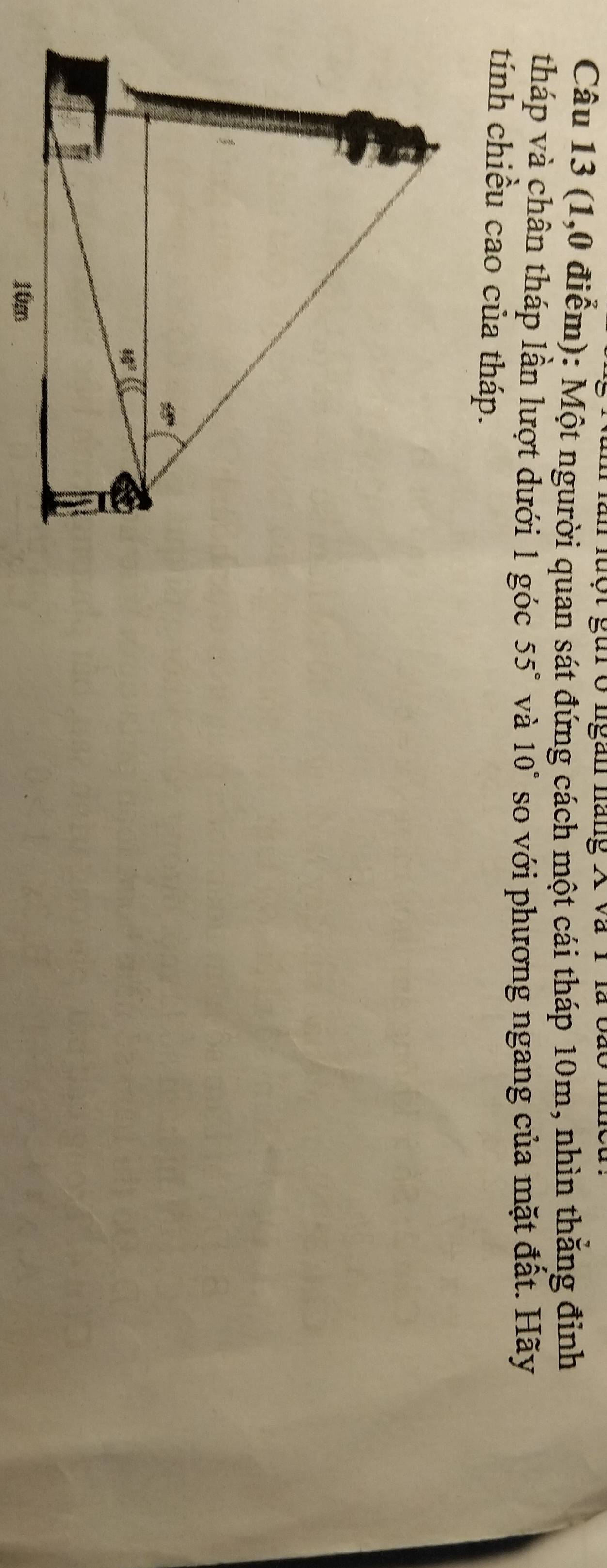 luột gui ở ngan náng X và 1 là b.
Câu 13 (1,0 điểm): Một ngurời quan sát đứng cách một cái tháp 10m, nhìn thăng đỉnh
tháp và chân tháp lần lượt dưới 1 góc 55° và 10° so với phương ngang của mặt đất. Hãy
tính chiều cao của tháp.