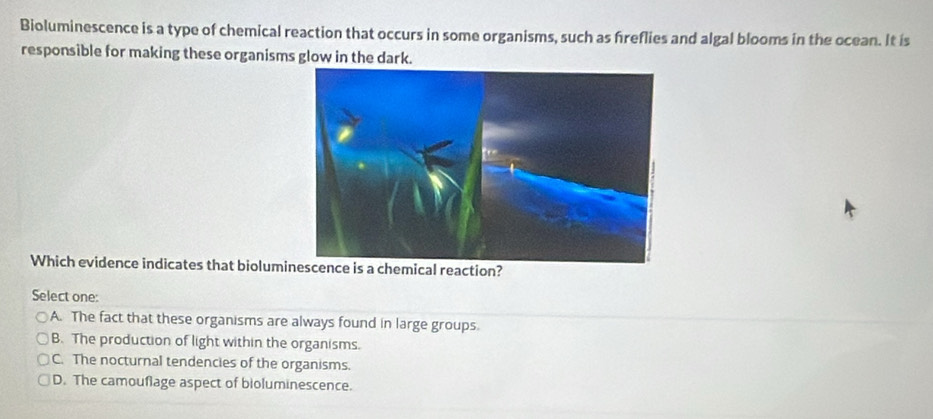 Bioluminescence is a type of chemical reaction that occurs in some organisms, such as freflies and algal blooms in the ocean. It is
responsible for making these organisms glow in the dark.
Which evidence indicates that bioluminescence is a chemical reaction?
Select one:
A. The fact that these organisms are always found in large groups
B. The production of light within the organisms.
C. The nocturnal tendencies of the organisms.
D. The camouflage aspect of bioluminescence.