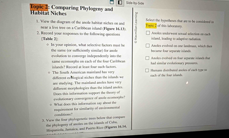 Side-by-Side
Topic 2: Comparing Phylogeny and
Habitat Niches
Select the hypotheses that are to be considered in
1. View the diagram of the anole habitat niches on and 5 Topic 2 of this laboratory.
near a live tree on a Caribbean island (Figure 16.13).
2. Record your responses to the following questions
Anoles underwent sexual selection on each
[Table 2]: island, leading to adaptive radiation.
In your opinion, what selective factors must be Anoles evolved on one landmass, which then
the same (or sufficiently similar) for anole became four separate islands.
evolution to converge independently into the Anoles evolved on four separate islands that
same ecomorphs on each of the four Caribbean had similar evolutionary pressures.
islands? Record at least four such factors.
The South American mainland has very Humans distributed anoles of each type to
different ecological niches than the islands we each of the four islands.
are studying. The mainland anoles have very
different morphologies than the island anoles.
Does this information support the theory of
evolutionary convergence of anole ecomorphs?
What does this information say about the
requirement for similarity of environmental
conditions?
3. View the four phylogenetic trees below that compare
the phylogeny of anoles on the islands of Cuba,
Hispaniola, Jamaica, and Puerto Rico (Figures 16.14,