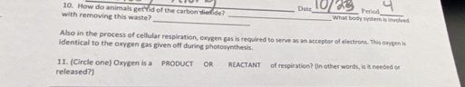 with removing this waste? 10. How do animals get fid of the carbon dieside? _Date_ What body systern is involved Period 
_ 
Also in the process of cellular respiration, oxygen gas is required to serve as an acceptor of electrons. This oxygen is 
identical to the oxygen gas given off during photosynthesis. 
1I. (Circle one) Oxygen is a PRODUCT OR REACTANT of respiration? (In other words, is it needed or 
released?)