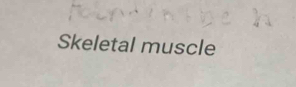 Skeletal muscle