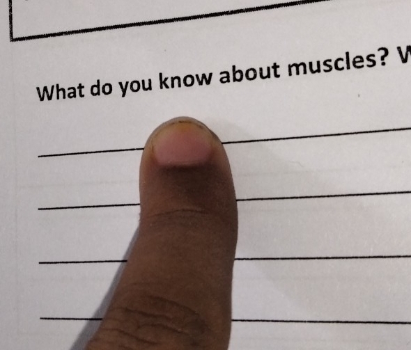 What do you know about muscles? V 
_ 
_ 
_ 
_ 
_ 
_ 
_ 
_ 
_ 
_ 
_