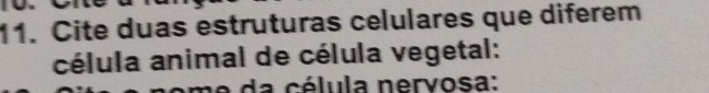 Cite duas estruturas celulares que diferem 
célula animal de célula vegetal: 
da c é lula nervosa: