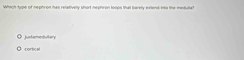 Which type of nephron has relatively short nephron loops that barely extend into the medulla?
juxtamedullary
cortical