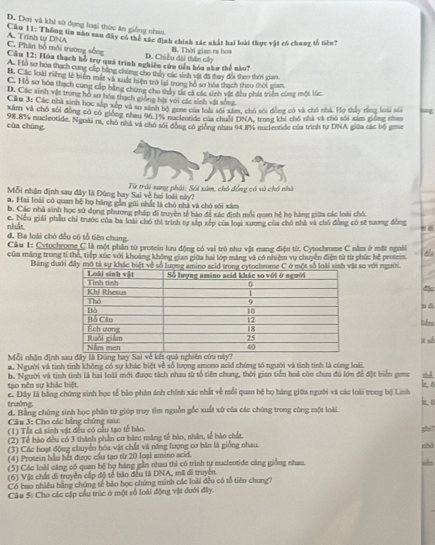 D. Dơi và khi sử dụng loại thức ăn giống nhau.
Cầu 11: Thông tin nào sau đây có thể xác định chính xác nhất hai loài thực vật có chung tổ tiên? A. Trình tự DNA
C. Phân bổ môi trường sống D. Chiều dài thân cây B. Thời gian ra hoa
Cầu 12: Hóa thạch hồ trợ quá trình nghiên cứu tiến hóa như thế nào?
A. Hồ sơ hóa thạch cung cáp bằng chứng cho thảy các sinh vật đã thay đổi theo thời gian.
B. Các loài riêng lẻ biến mắt và xuất hiện trở lại trong hồ sơ hóa thạch theo thời gian,
C. Hồ sơ hóa thạch cung cấp bằng chứng cho thấy tắt cả các sinh vật đều phát triên cùng một lúc.
D. Các sinh vật trong hó sơ hóa thạch giống hệt với các sinh vật sông
Câu 3: Các nhà sinh học sắp xếp và so sánh bộ gene của loài sới xám, chó sới đồng có và chó nhà. Họ thấy rằng loài sối ug
Xám và chó sới đồng có có giống nhau 96.1% nucleotide của chuỗi DNA. trong khi chó nhà và chó sới xâm giống nham
98.8% nucleotide. Ngoài ra, chó nhà và chó sới đồng có giống nhau 94.8% nucleotide của trình tự DNA giữa các bộ gene
của chúng
Từ trái sang phái: Sôi xám, chó đồng có và chỏ nhà
Mỗi nhận định sau đây là Đúng hay Sai về hai loài này?
a. Hai loài có quan hệ họ hàng gần gũi nhất là chó nhà và chó sới xám
b. Các nhà sinh học sử dụng phương pháp di truyên tế bào để xác định mối quan hệ họ hàng giữa các loài chó.
c. Nếu giải phẫu chỉ trước của ba loài chó thì trình tự sắp xếp của loại xương của chó nhà và chó đồng có sẽ tương đồng
nhất
n di
d. Ba loài chó đều có tổ tiên chung.
Câu 1: Cytochrome C là một phần tứ protein lưu động có vai trò như vật mang điện từ. Cytochrome C nằm ở mặt ngoài
của mảng trong tỉ thể, tiếp xúc với khoảng không gian giữa hai lớp mảng và có nhiệm vụ chuyên điện tử từ phức hệ protein.
Băng dưới đây mô tả sựso với ngườời.
dic
n di
lte số
Mỗi nhận định sau đây là Đúng hay Sai về kết quy?
a. Người và tinh tinh không có sự khác biệt về số lượng amono acid chứng tỏ người và tinh tinh là cùng loài.
b. Người và tinh tính là hai loài mới được tách nhau từ tổ tiên chung, thời gian tiến hoá còn chưa đủ lớn để đột biển geme th ì
tạo nên sự khác biệt
in,a
c. Đây là bằng chứng sinh học tế bảo phản ánh chính xác nhất về mối quan hệ họ hàng giữa người và các loài trong bộ Lĩnh in, a
trưởng.
d. Bằng chứng sinh học phần từ giúp truy tìm nguồn gốc xuất xứ của các chủng trong cùng một loài.
Câu 3: Cho các bằng chứng sau:
(1) Tất cả sinh vật đều có cầu tạo tế bào.
(2) Tế bào đều có 3 thành phần cơ bản: màng tế bảo, nhân, tế bào chất. ght ?
(3) Các hoạt động chuyển hóa vật chất và năng lượng cơ bản là giống nhau. nhā
(4) Protein hầu hết được cầu tạo từ 20 loại amino acid.
(5) Các loài cảng có quan hệ họ hàng gần nhau thì có trình tự nucleotide cảng giống nhau.
tiển
(6) Vật chất di truyền cấp độ tế bảo đều là DNA, mã di truyện.
Có bao nhiêu bằng chứng tế bảo học chứng minh các loài đều có tổ tiên chung?
Câu 5: Cho các cặp cầu trúc ở một số loài động vật dưới đây.