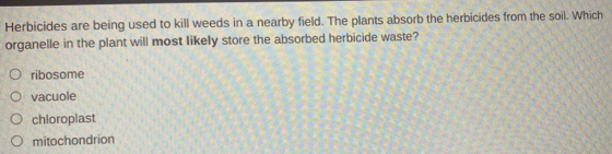 Herbicides are being used to kill weeds in a nearby field. The plants absorb the herbicides from the soil. Which
organelle in the plant will most likely store the absorbed herbicide waste?
ribosome
vacuole
chloroplast
mitochondrion