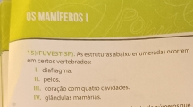 Ds Mamíferos I 
em certos vertebrados: 15) FUVEST-SP). As estruturas abaixo enumeradas ocorm 
I. diafragma. 
II. pelos. 
IV. glânclulas mamárias. III. coração com quatro cavidades. 
ocás aué