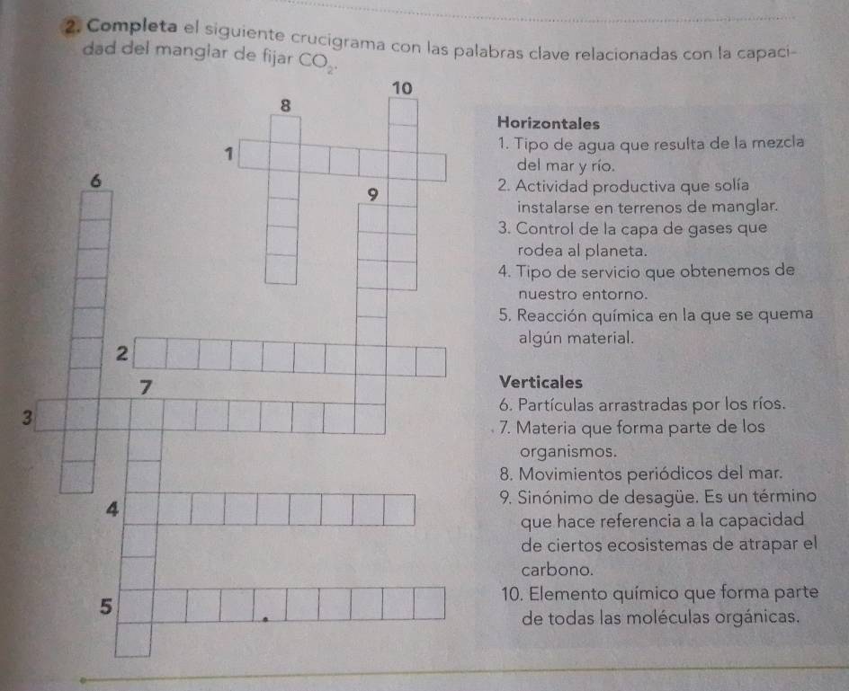 Completa el siguiente crucigrama con las palabras clave relacionadas con la capaci-
dad del manglar de fijar
Horizontales
1. Tipo de agua que resulta de la mezcla
del mar y río.
2. Actividad productiva que solía
instalarse en terrenos de manglar.
3. Control de la capa de gases que
rodea al planeta.
4. Tipo de servicio que obtenemos de
nuestro entorno.
5. Reacción química en la que se quema
algún material.
Verticales
6. Partículas arrastradas por los ríos.
3
7. Materia que forma parte de los
organismos.
8. Movimientos periódicos del mar.
9. Sinónimo de desagüe. Es un término
que hace referencia a la capacidad
de ciertos ecosistemas de atrapar el
carbono.
10. Elemento químico que forma parte
de todas las moléculas orgánicas.