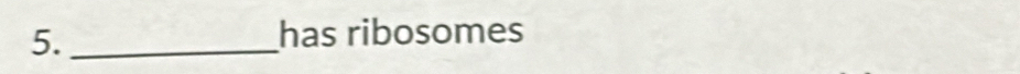 5._ 
has ribosomes