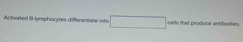 Activated B-lymphocytes differentiate into □ cells that produce antibodies.