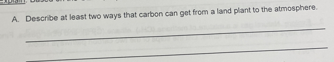 xplai. 
A. Describe at least two ways that carbon can get from a land plant to the atmosphere. 
_ 
_