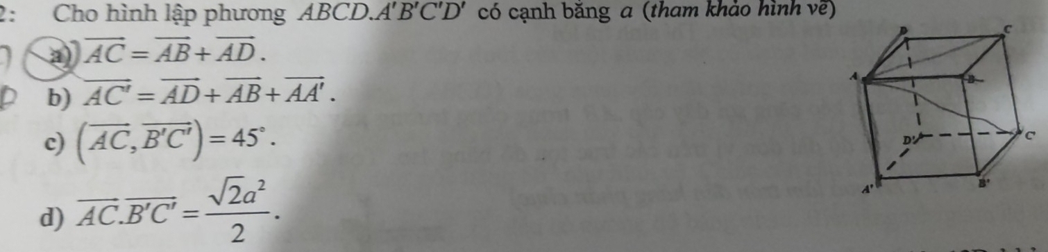 2: Cho hình lập phương ABCD.. A'B'C'D' có cạnh băng a (tham khảo hình về)
a vector AC=vector AB+vector AD.
b) vector AC'=vector AD+vector AB+vector AA'.
c) (vector AC,vector B'C')=45°.
d) overline AC.overline B'C'= sqrt(2)a^2/2 .