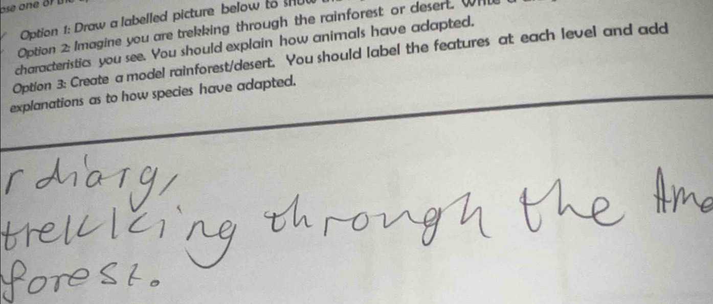 Option 1: Draw a labelled picture below to 
Option 2: Imagine you are trekking through the rainforest or desert. Wh 
characteristics you see. You should explain how animals have adapted. 
Option 3: Create a model rainforest/desert. You should label the features at each level and add 
explanations as to how species have adapted.