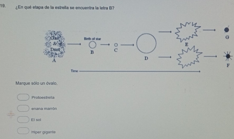 ¿ En qué etapa de la estrella se encuentra la letra B?
Marque sólo un óvalo.
Protoestrella
enana marrón
El sol
Hiper gigante