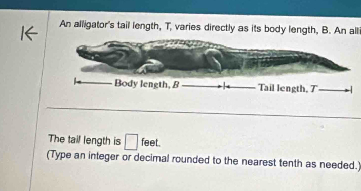 An alligator's tail length, T, varies directly as its body length, B. An alli 
The tail length is □ feet. 
(Type an integer or decimal rounded to the nearest tenth as needed.)