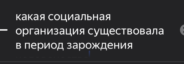 какая социальная 
организация существовала 
в лериод зарождения