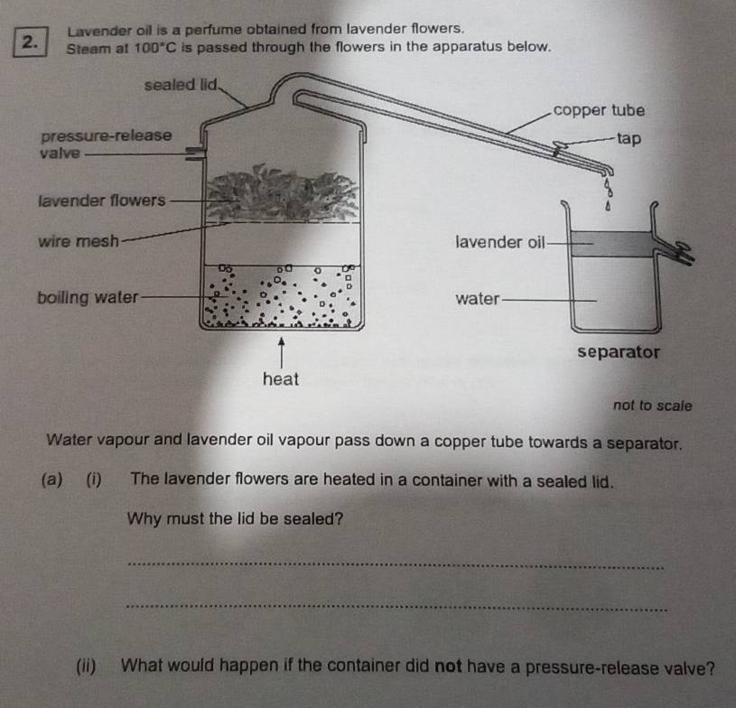 Lavender oil is a perfume obtained from lavender flowers. 
2. Steam at 100°C is passed through the flowers in the apparatus below. 
not to scale 
Water vapour and lavender oil vapour pass down a copper tube towards a separator. 
(a) (i) The lavender flowers are heated in a container with a sealed lid. 
Why must the lid be sealed? 
_ 
_ 
(ii) What would happen if the container did not have a pressure-release valve?