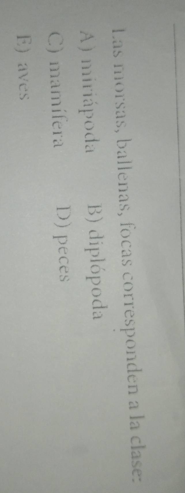 Las morsas, ballenas, focas corresponden a la clase:
A) miriápoda B) diplópoda
C) mamífera D) peces
E) aves