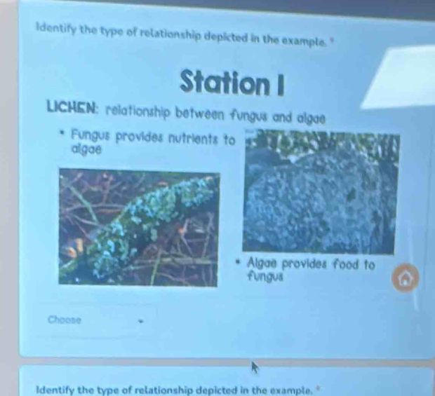 Identify the type of relationship depicted in the example." 
Station 
LICHEN: relationship between fungus and algae 
Fungus provides nutrients to 
algae 
Algae provides food to 
fungua 
Choose 
Identify the type of relationship depicted in the example. "