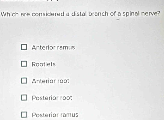 Which are considered a distal branch of a spinal nerve?
Anterior ramus
Rootlets
Anterior root
Posterior root
Posterior ramus