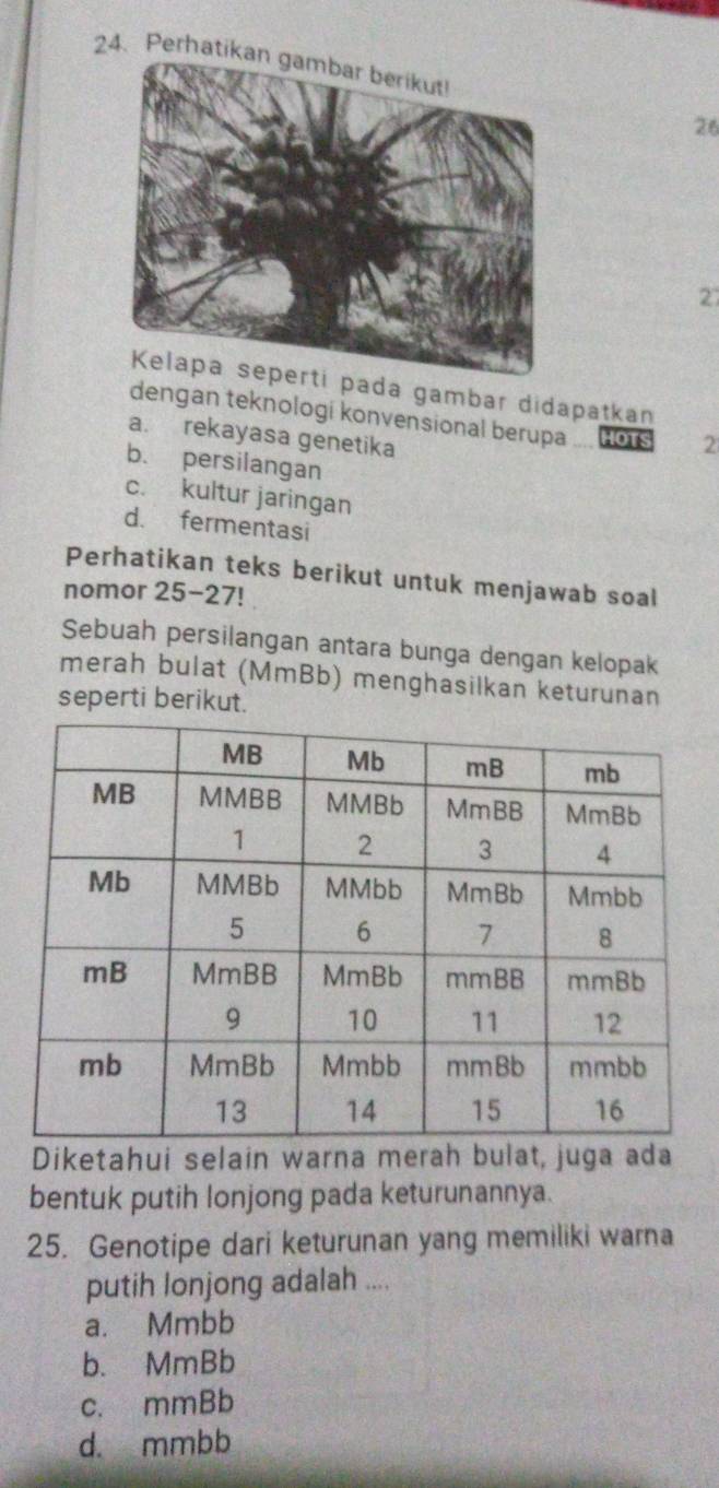 Perhatikan gambar berikut!
26
27
pada gambar didapatkan
dengan teknologi konvensional berupa HOTS 2
a. rekayasa genetika
b. persilangan
c. kultur jaringan
d. fermentasi
Perhatikan teks berikut untuk menjawab soal
nomor 25-27!
Sebuah persilangan antara bunga dengan kelopak
merah bulat (MmBb) menghasilkan keturunan
seperti berikut.
Diketahui selain warna merah bulat, juga ada
bentuk putih lonjong pada keturunannya.
25. Genotipe dari keturunan yang memiliki warna
putih lonjong adalah ....
a. Mmbb
b. MmBb
c. mmBb
d. mmbb