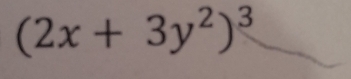 (2x+3y^2)^3