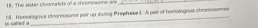 The sister chromatids of a chromosome are_ 
_ 
19. Homologous chromosome pair up during Prophase I. A pair of homologous chromosomes 
is called a