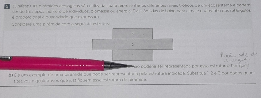 5 (Unifesp) As pirâmides ecológicas são utilizadas para representar os diferentes níveis tróficos de um ecossistema e podem 
ser de três tipos: número de indivíduos, biomassa ou energia. Elas são lidas de baixo para cima e o tamanho dos retângulos 
é proporcional à quantidade que expressam. 
Considere uma pirâmide com a seguinte estrutura
3
2
1
pão poderia ser representada por essa estrutura? Por qué? 
b) Dê um exemplo de uma pirámide que pode ser representada pela estrutura indicada. Substitua 1, 2 e 3 por dados quan- 
titativos e qualitativos que justifiquem essa estrutura de pirâmide