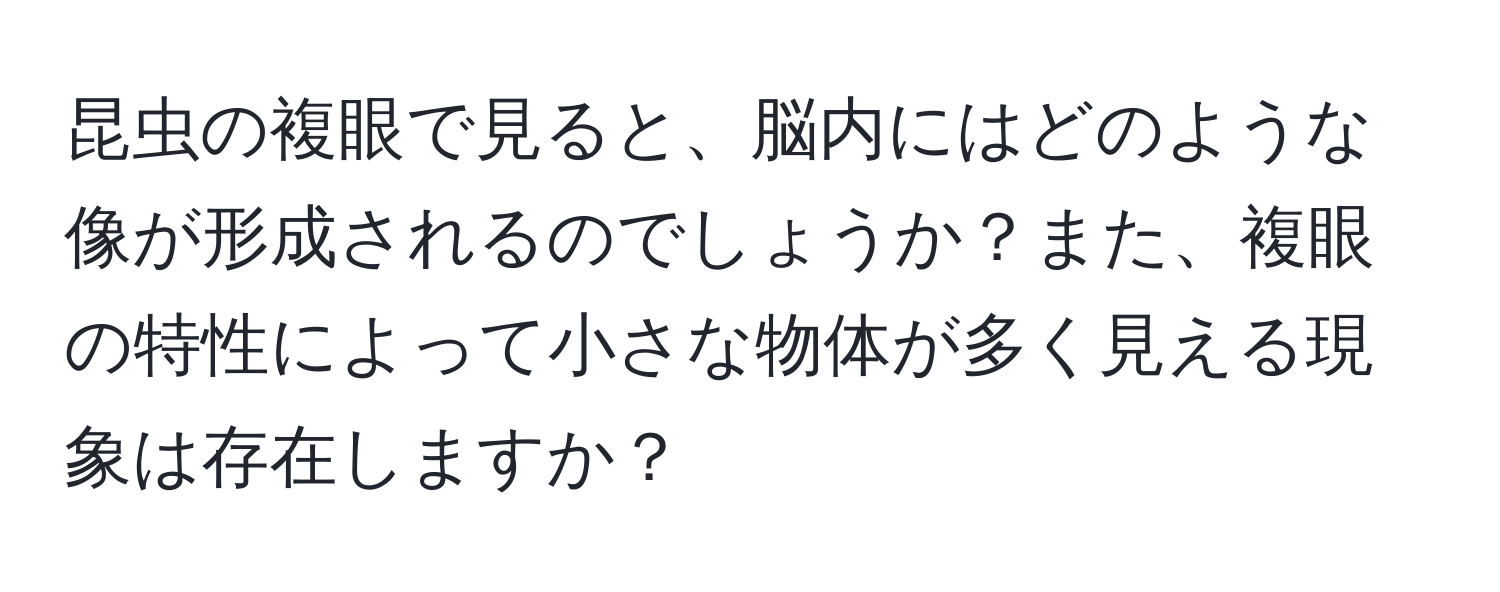 昆虫の複眼で見ると、脳内にはどのような像が形成されるのでしょうか？また、複眼の特性によって小さな物体が多く見える現象は存在しますか？